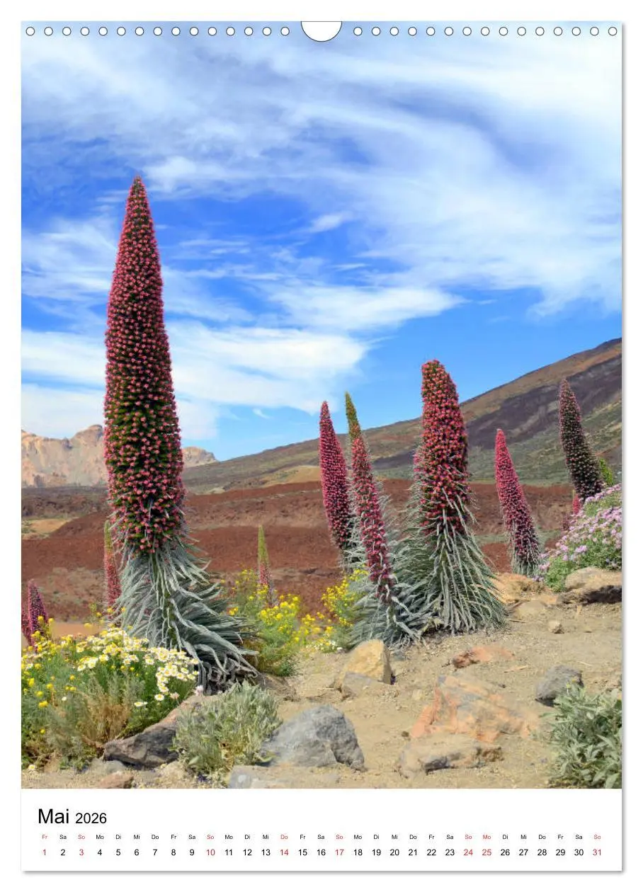 Bild: 9783516427776 | Teneriffa - Insel der Glückseligen (Wandkalender 2026 DIN A3 hoch),...