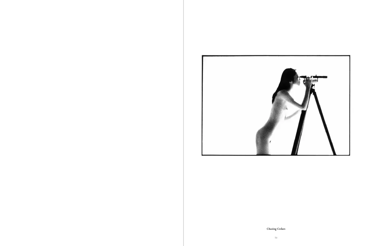 Bild: 9783775747776 | Aram Dikiciyan | Scheinzeit | Nadine Barth | Buch | 96 S. | Englisch