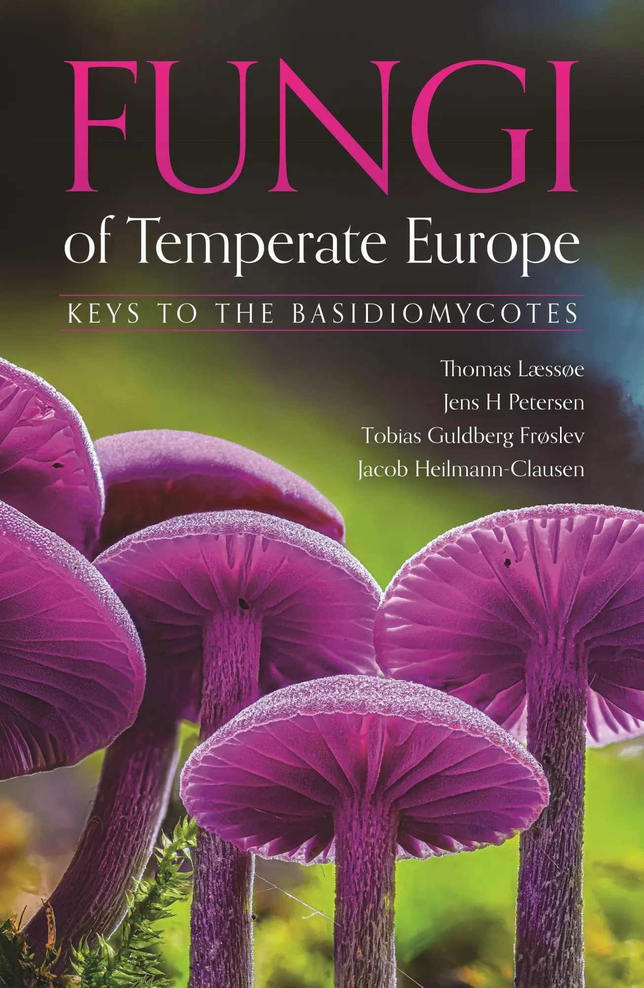 Cover: 9780691267876 | Fungi of Temperate Europe | Keys to the Basidiomycotes | Buch | 2026