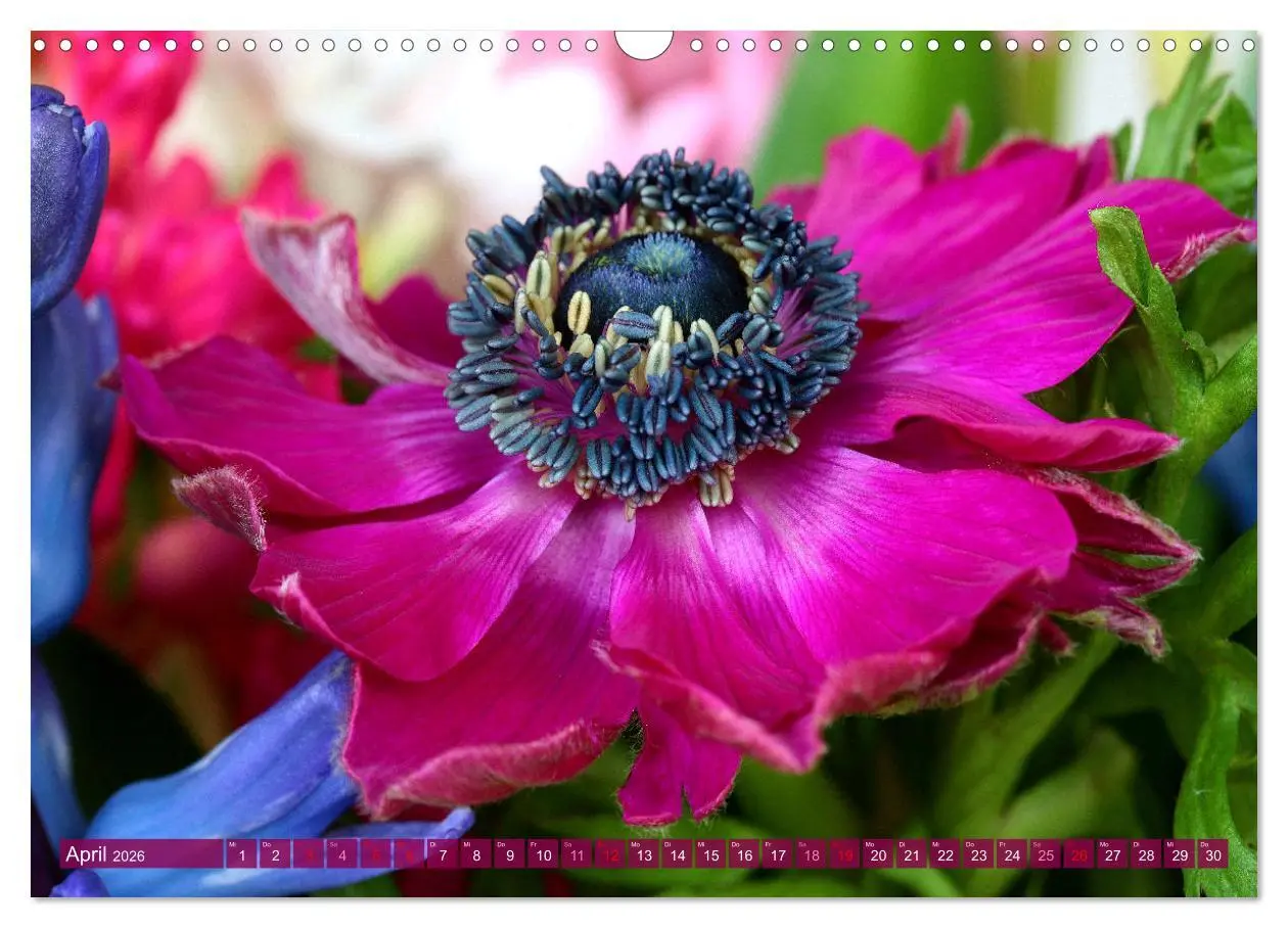 Bild: 9783457257876 | Blumen - Eine bunte Mischung (Wandkalender 2026 DIN A3 quer),...