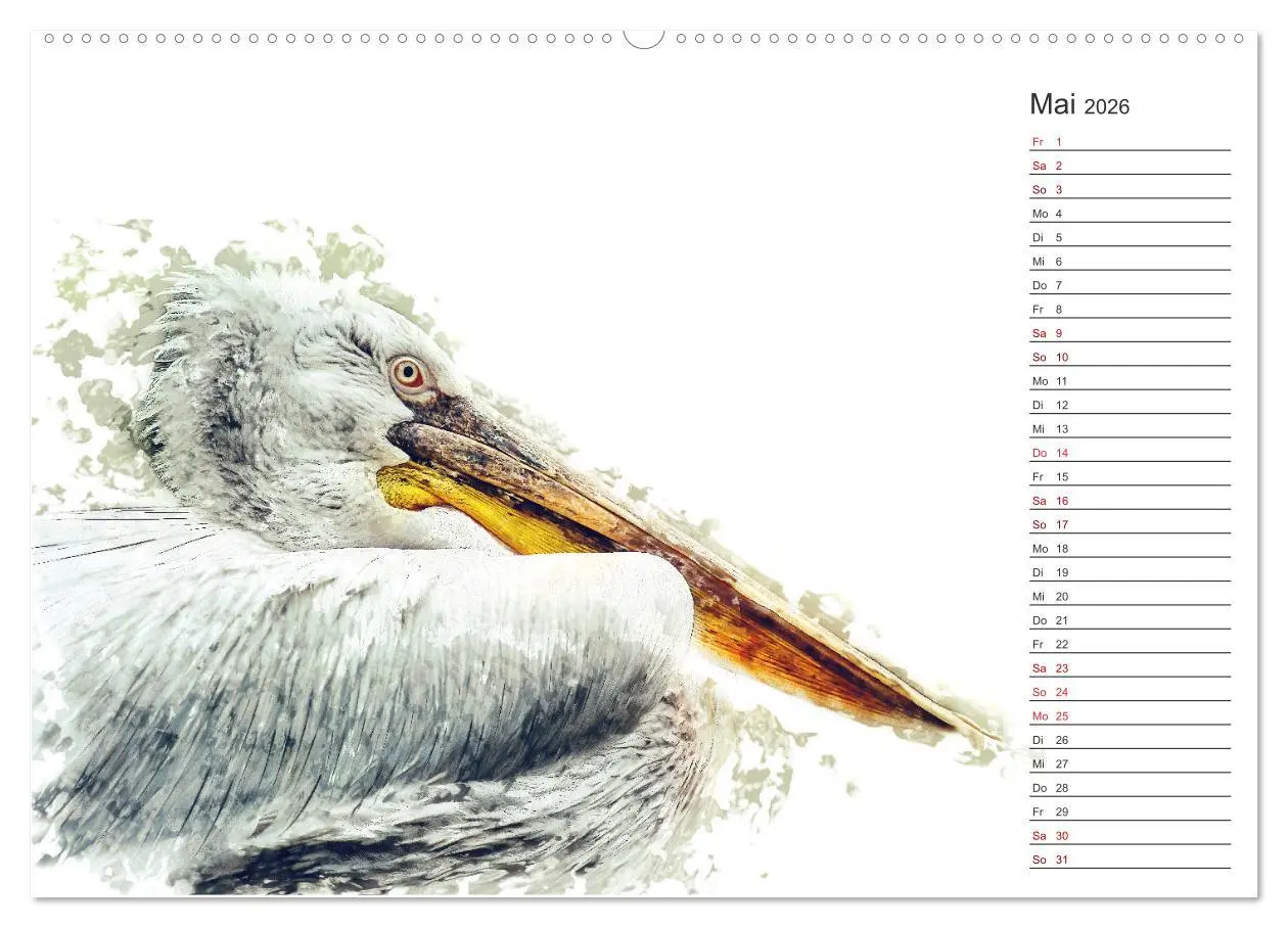 Bild: 9783457877876 | Tierportraits - Fine Art (Wandkalender 2026 DIN A2 quer), CALVENDO...