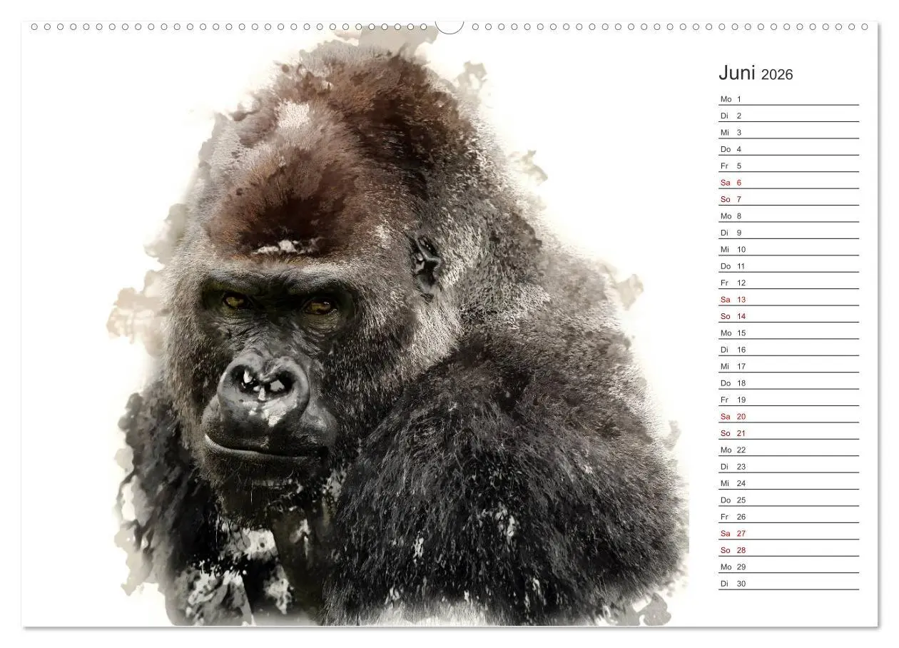 Bild: 9783457877876 | Tierportraits - Fine Art (Wandkalender 2026 DIN A2 quer), CALVENDO...
