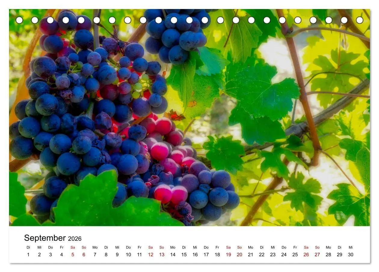 Bild: 9783457937976 | Piemont und Turin (Tischkalender 2026 DIN A5 quer), CALVENDO...