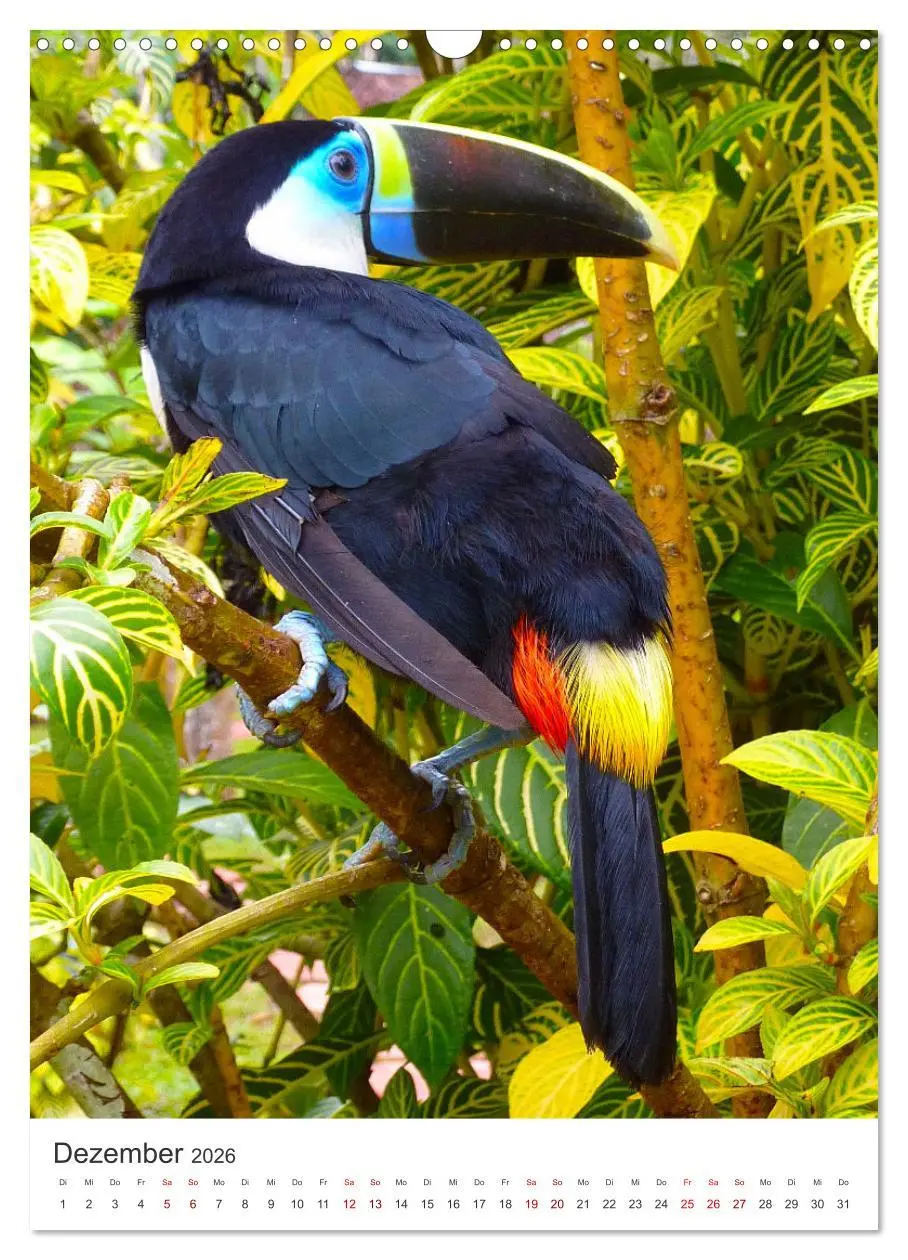 Bild: 9783516337976 | Eine Abenteuerreise durch Peru (Wandkalender 2026 DIN A3 hoch),...
