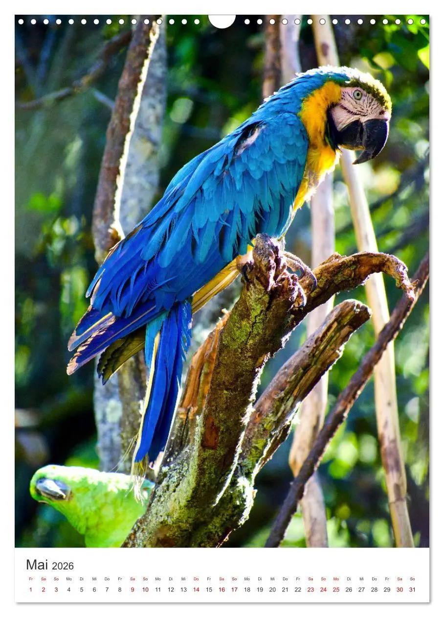 Bild: 9783516337976 | Eine Abenteuerreise durch Peru (Wandkalender 2026 DIN A3 hoch),...
