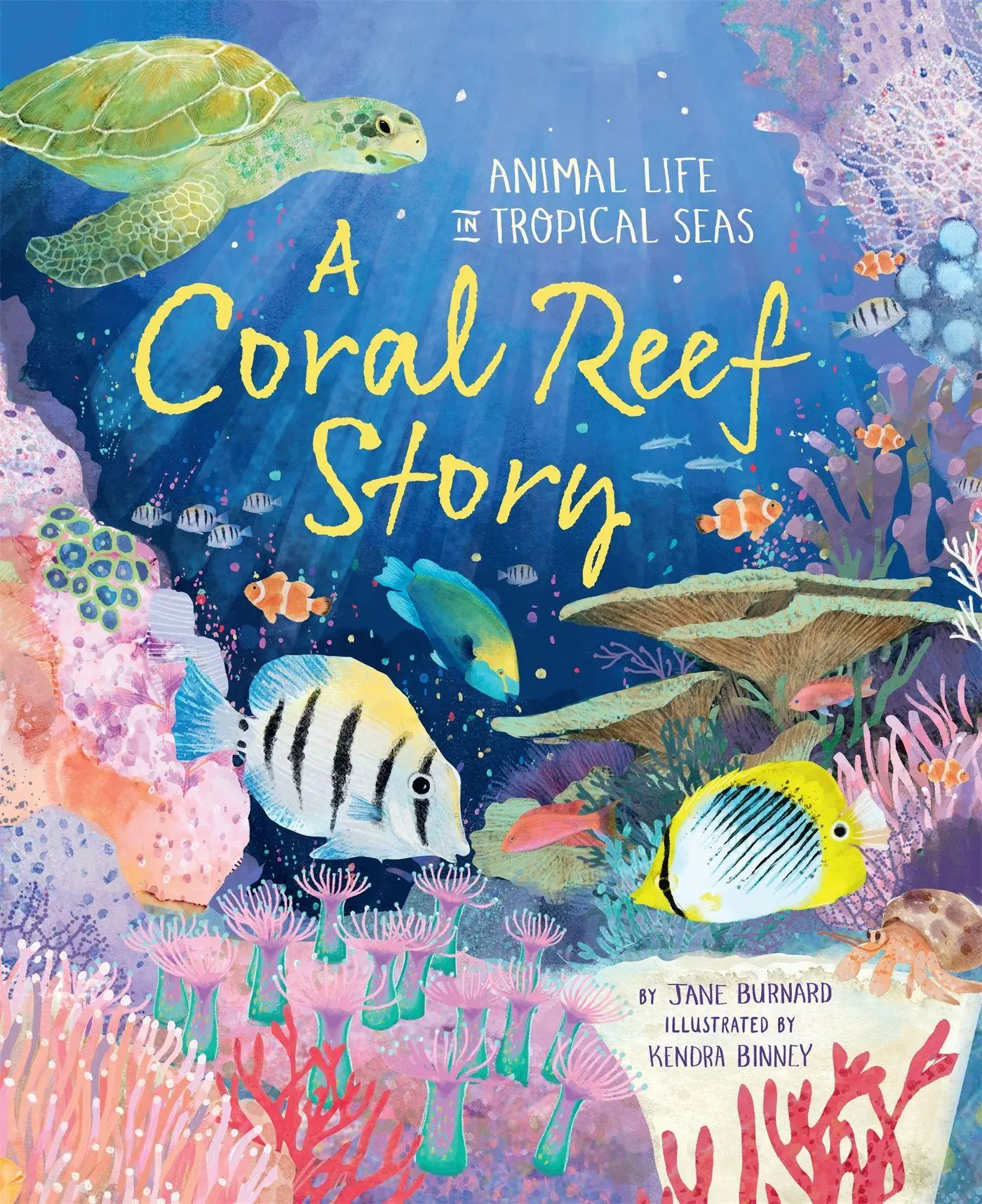 Cover: 9780753448076 | A Coral Reef Story | Animal Life in Tropical Seas | Jane Burnard