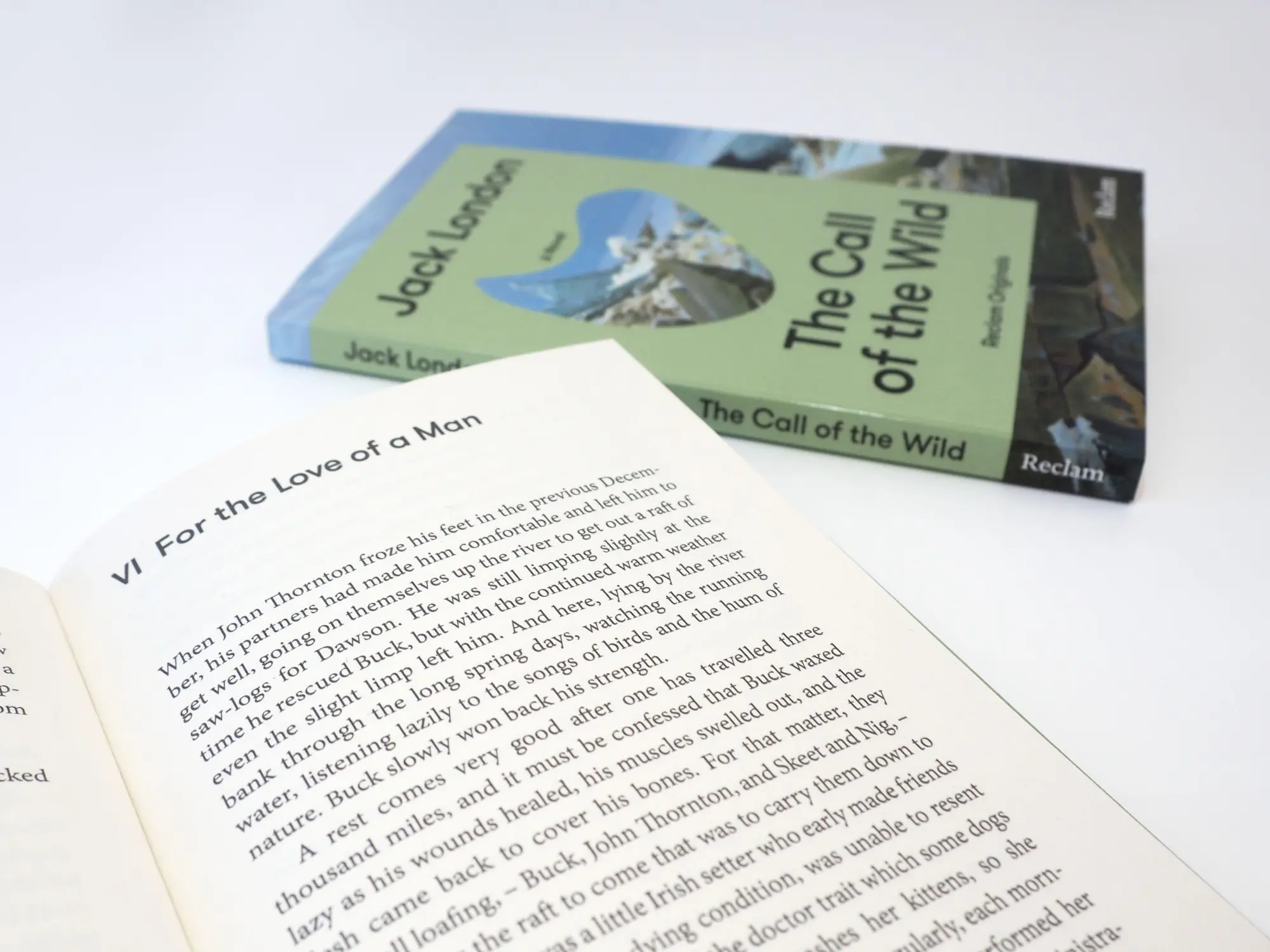 Bild: 9783150208076 | The Call of the Wild. A Novel | Jack London | Taschenbuch | 128 S.