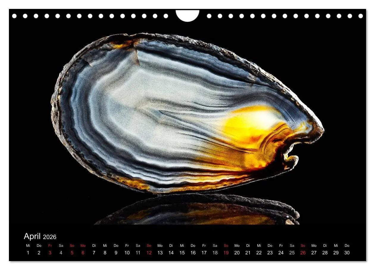 Bild: 9783516088076 | Leuchtende Achate (Wandkalender 2026 DIN A4 quer), CALVENDO...