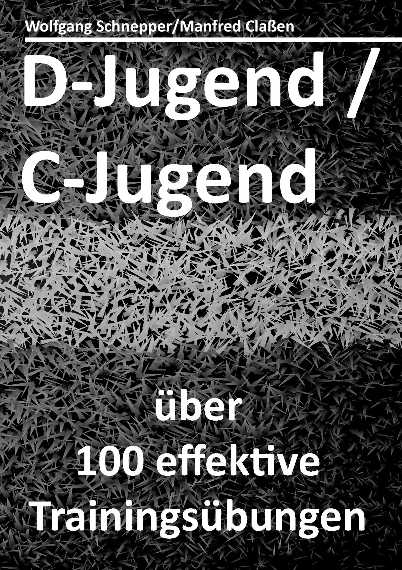 Cover: 9783743178076 | D-Jugend / C-Jugend | über 100 effektive Trainingsübungen | Buch