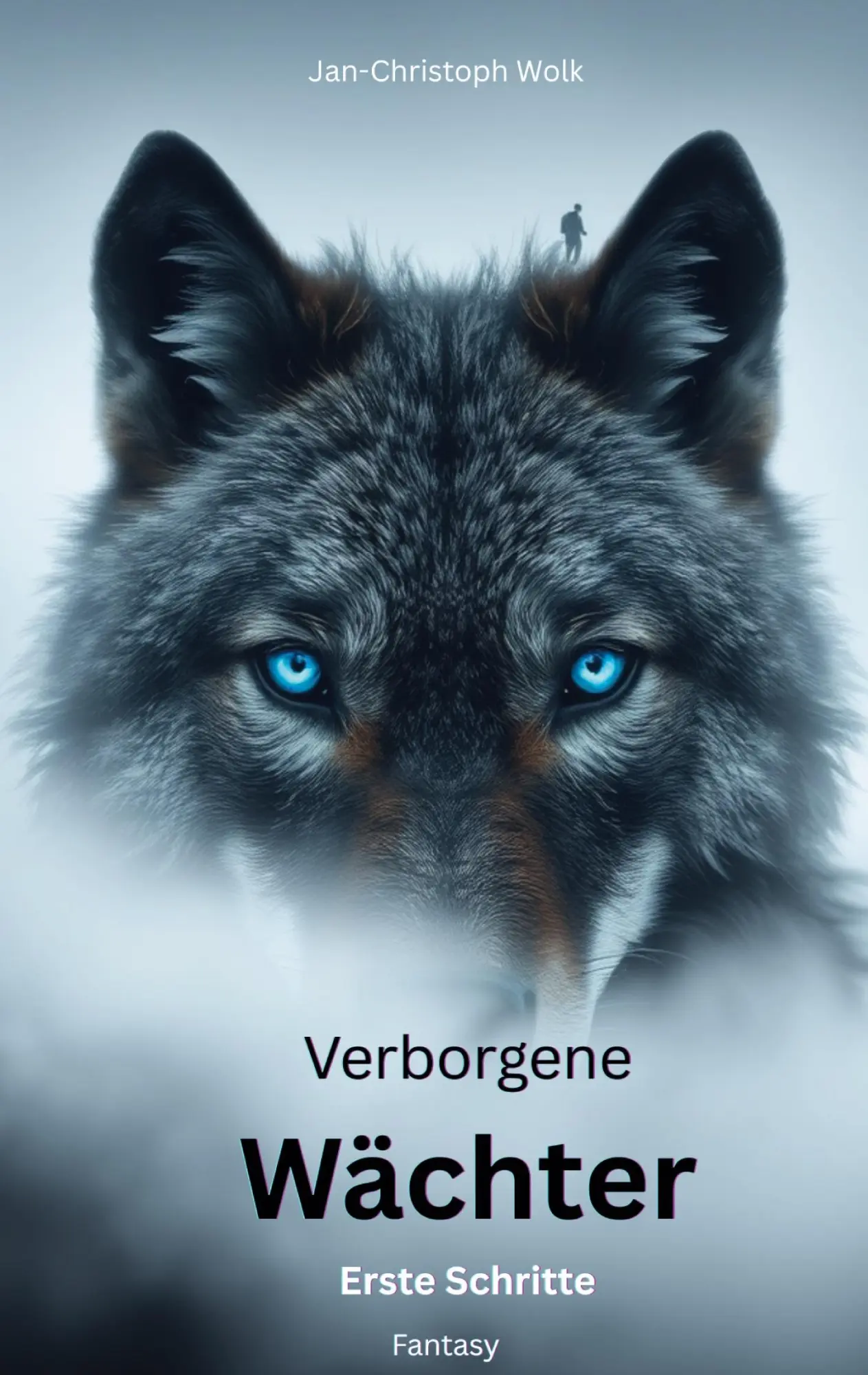 Cover: 9783769398076 | Verborgene Wächter | Erste Schritte | Jan-Christoph Wolk | Taschenbuch