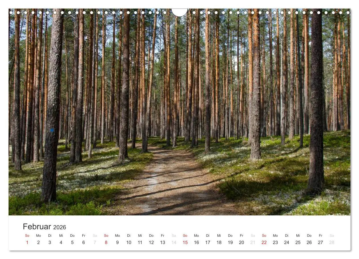 Bild: 9783516078176 | Naturparadies Finnland (Wandkalender 2026 DIN A3 quer), CALVENDO...