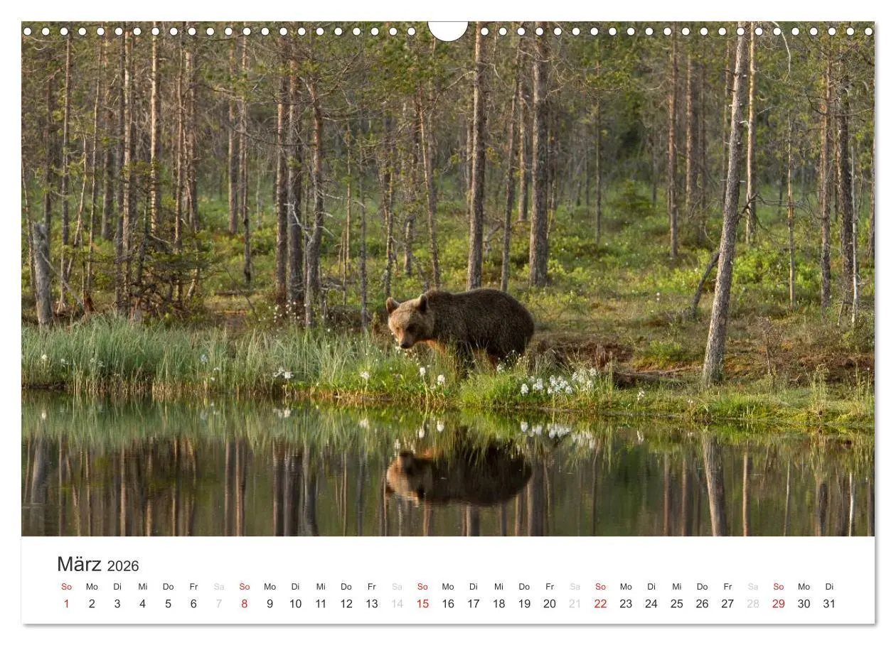 Bild: 9783516078176 | Naturparadies Finnland (Wandkalender 2026 DIN A3 quer), CALVENDO...