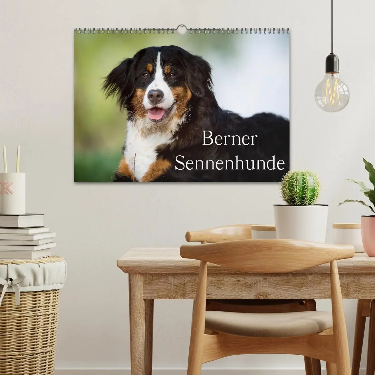 Bild: 9783516148176 | Berner Sennenhunde (Wandkalender 2026 DIN A3 quer), CALVENDO...