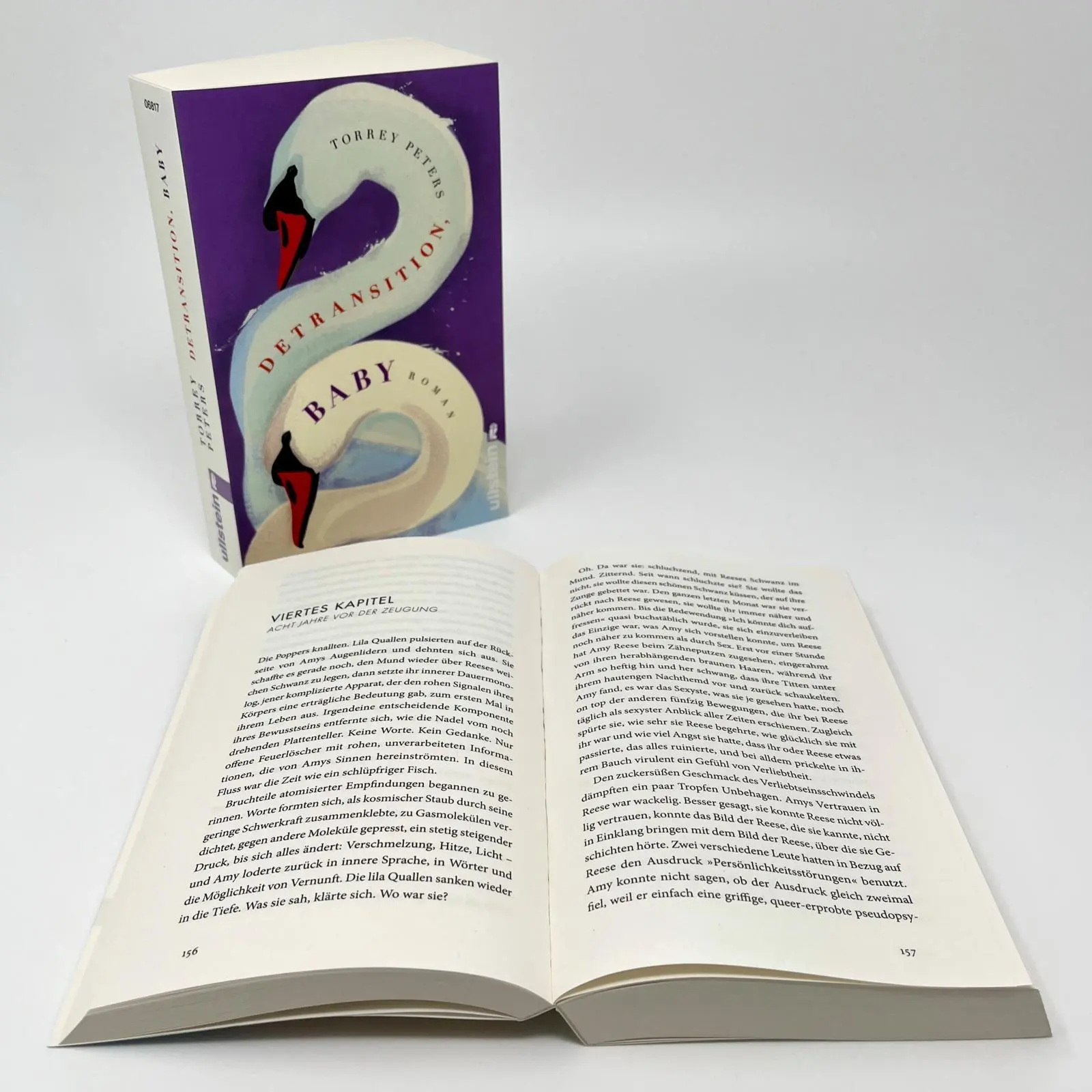 Bild: 9783548068176 | Detransition, Baby | Torrey Peters | Taschenbuch | 464 S. | Deutsch