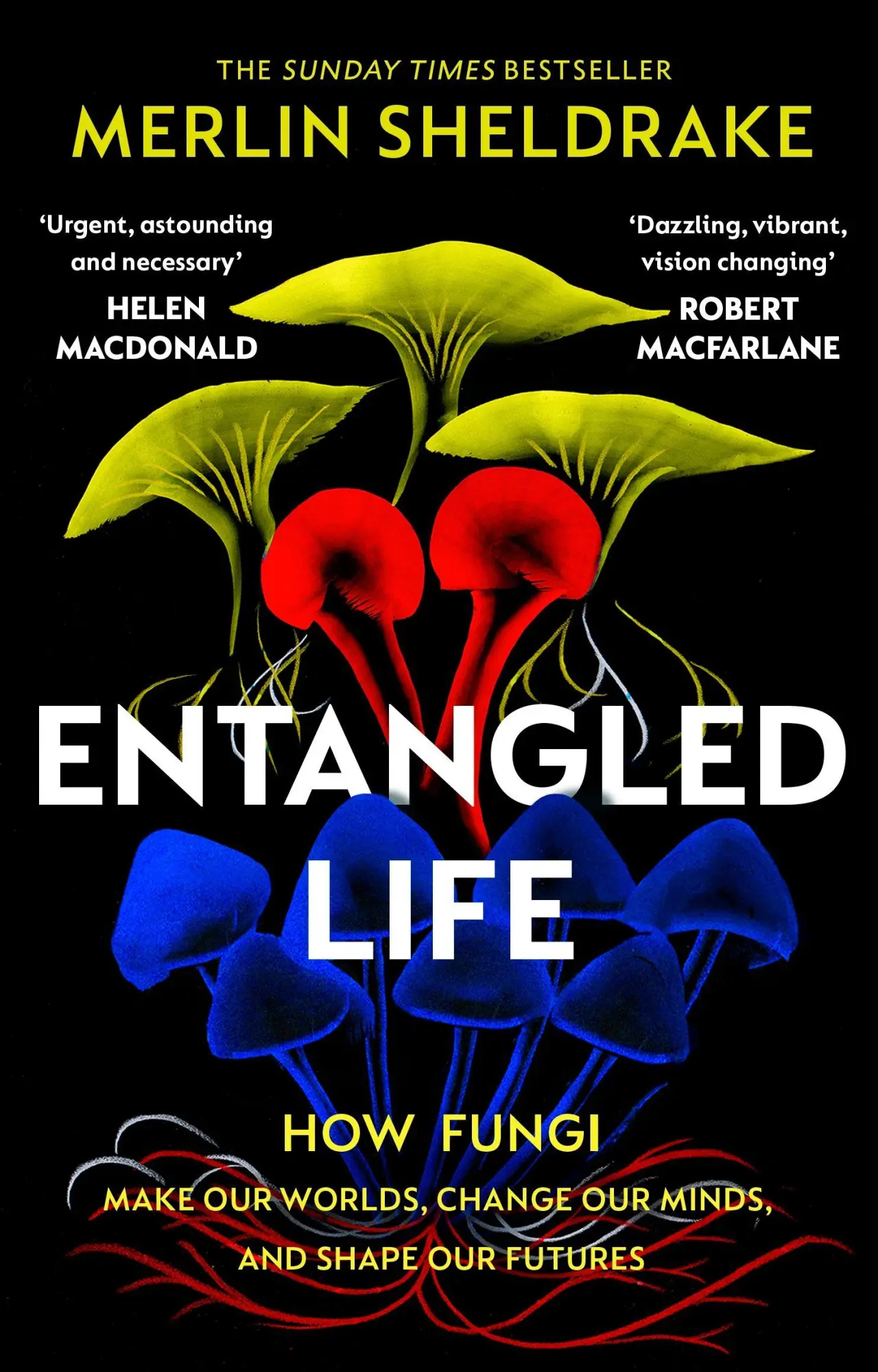 Cover: 9781784708276 | Entangled Life | Merlin Sheldrake | Taschenbuch | B-format paperback Cover: 9781784708276 | Entangled Life | Merlin Sheldrake | Taschenbuch | B-format paperback