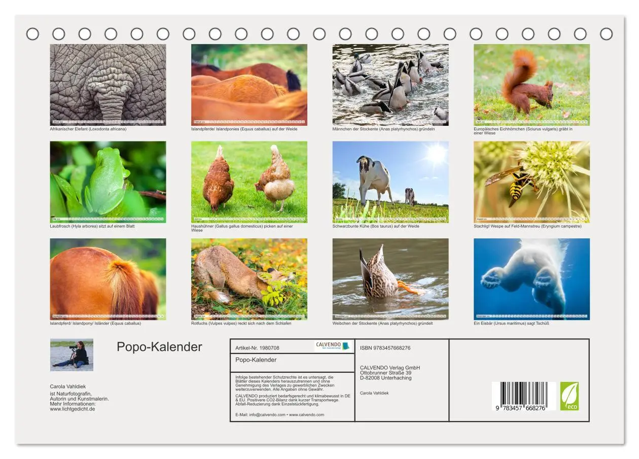 Bild: 9783457668276 | Popo-Kalender (Tischkalender 2026 DIN A5 quer), CALVENDO...