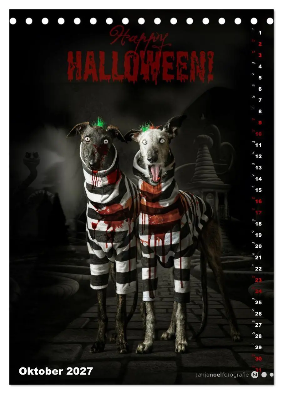 Bild: 9783569538276 | dogmuse deluxe (Tischkalender 2027 DIN A5 hoch), CALVENDO...