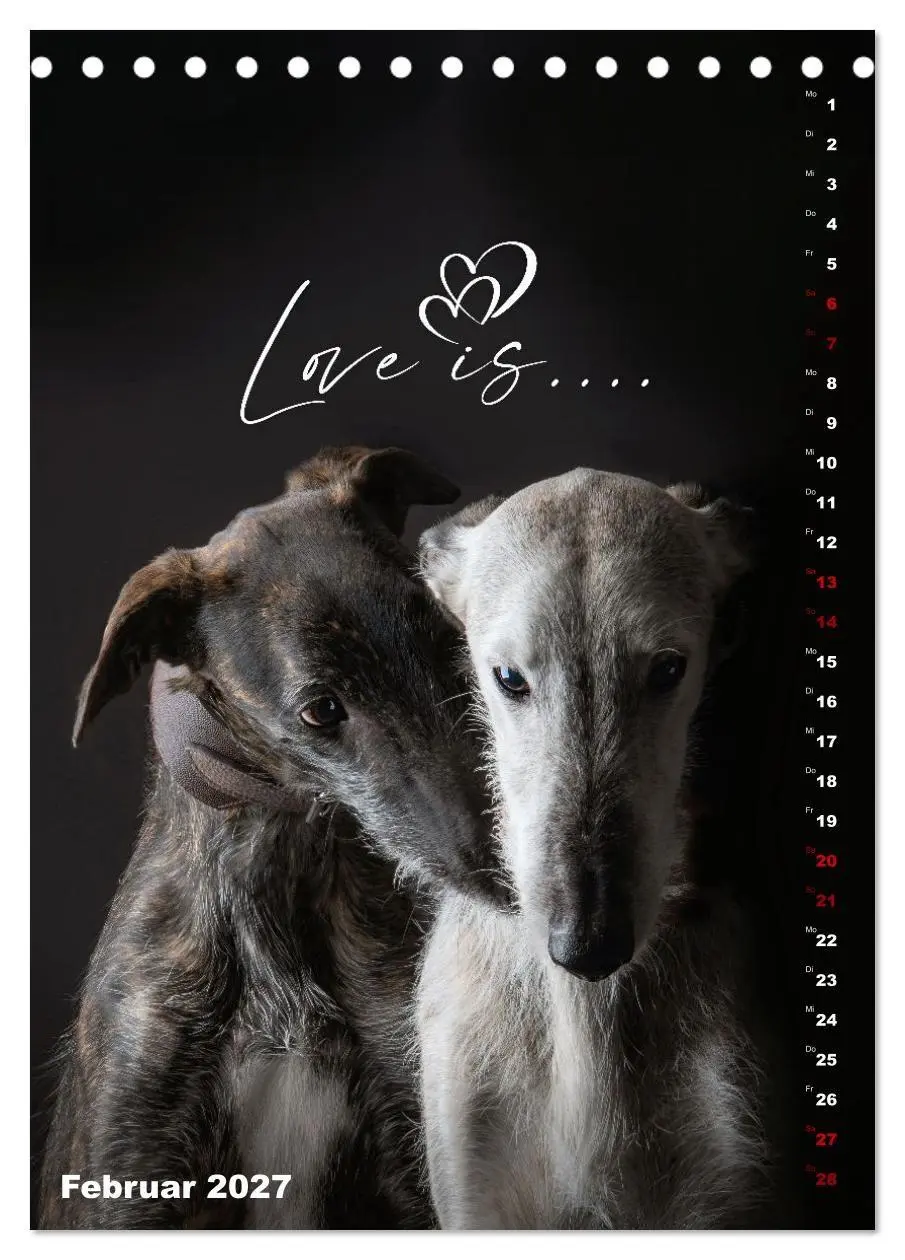 Bild: 9783569538276 | dogmuse deluxe (Tischkalender 2027 DIN A5 hoch), CALVENDO...
