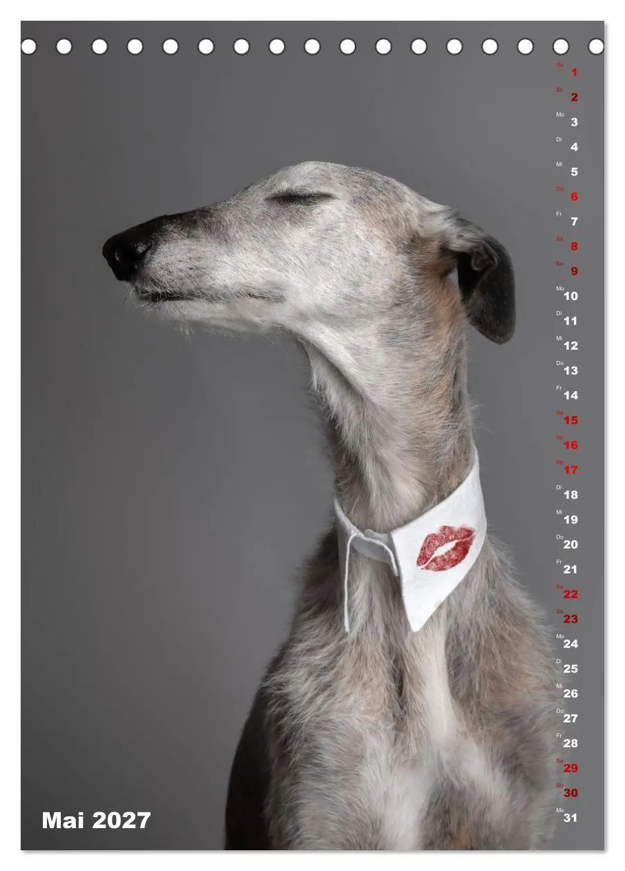 Bild: 9783569538276 | dogmuse deluxe (Tischkalender 2027 DIN A5 hoch), CALVENDO...