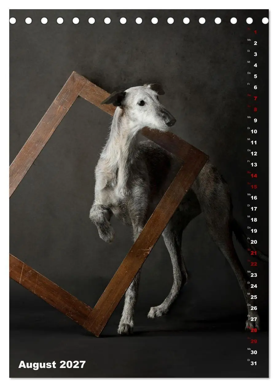 Bild: 9783569538276 | dogmuse deluxe (Tischkalender 2027 DIN A5 hoch), CALVENDO...