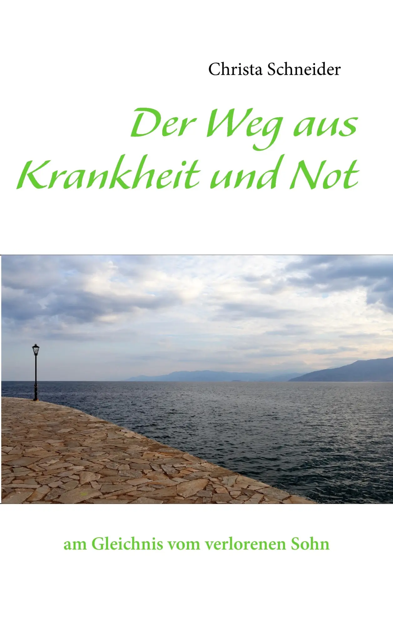 Cover: 9783844818376 | Der Weg aus Krankheit und Not | am Gleichnis vom verlorenen Sohn