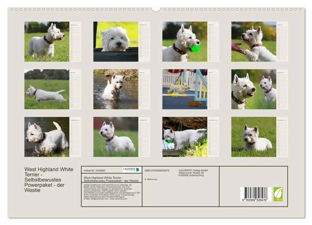 Bild: 9783569828476 | West Highland White Terrier - Selbstbewustes Powerpaket - der...