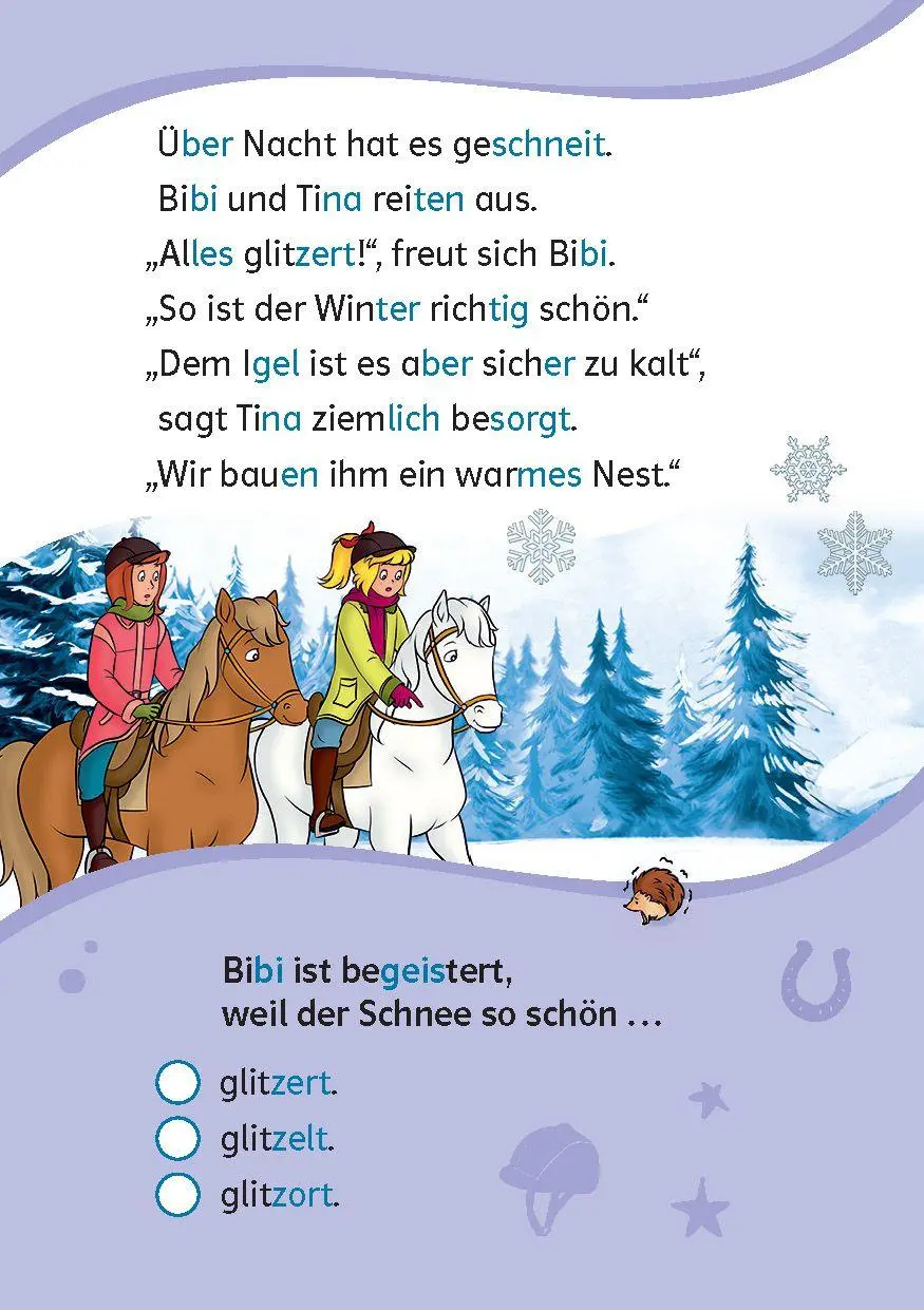 Bild: 9783129498576 | Lesefuchs Bibi &amp; Tina: Leserätsel Lesestufe 2, Band 1 | Taschenbuch