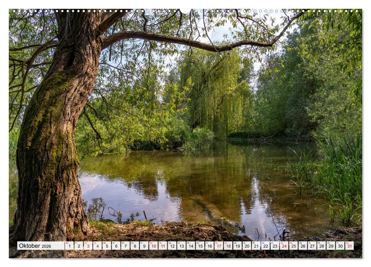 Bild: 9783457498576 | England - Oxford (Wandkalender 2026 DIN A2 quer), CALVENDO...