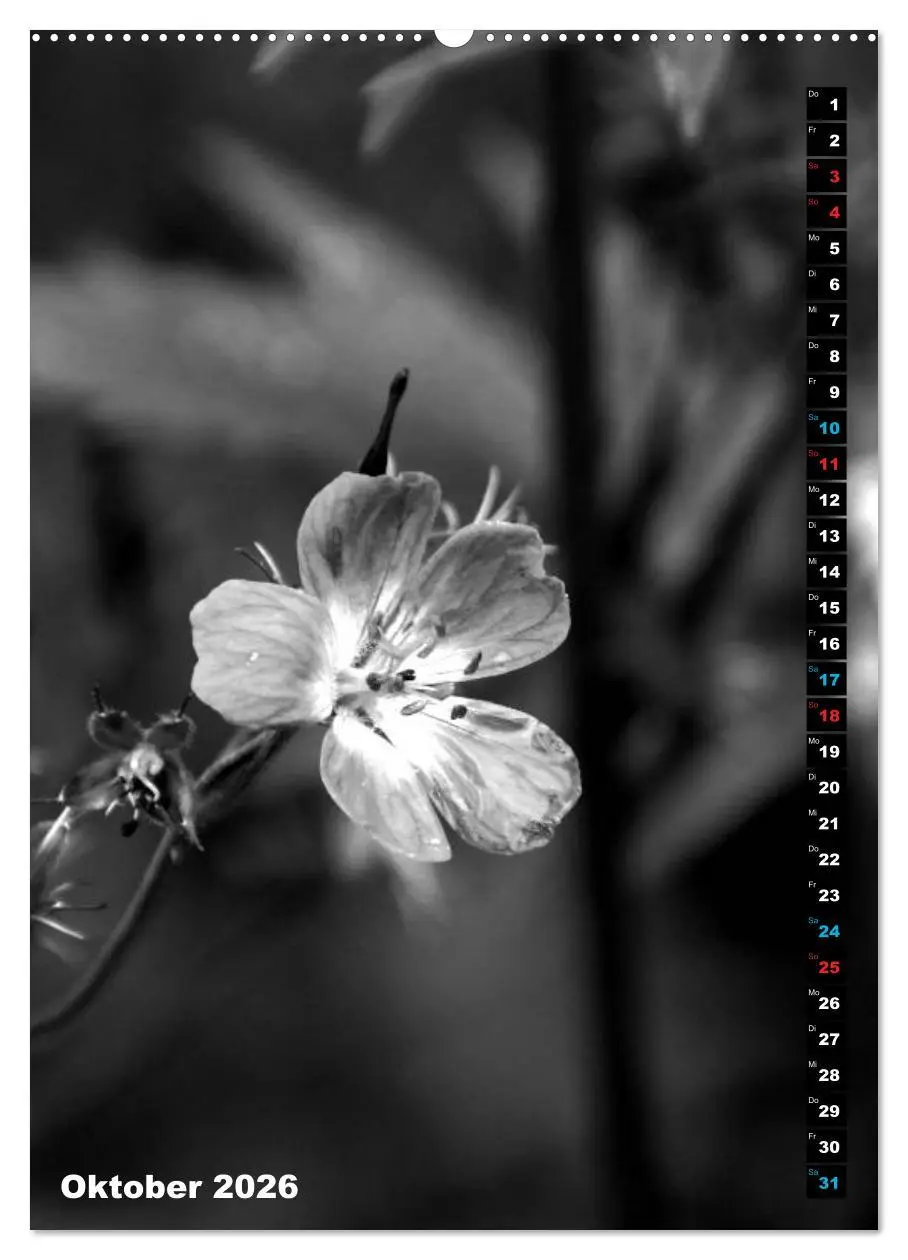 Bild: 9783516418576 | Blumige Graustufen - Schwarz und Weiß (hochwertiger Premium...