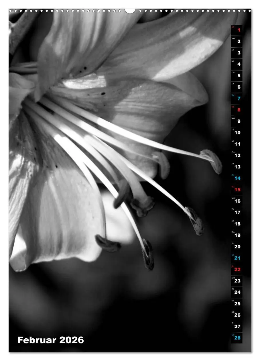Bild: 9783516418576 | Blumige Graustufen - Schwarz und Weiß (hochwertiger Premium...