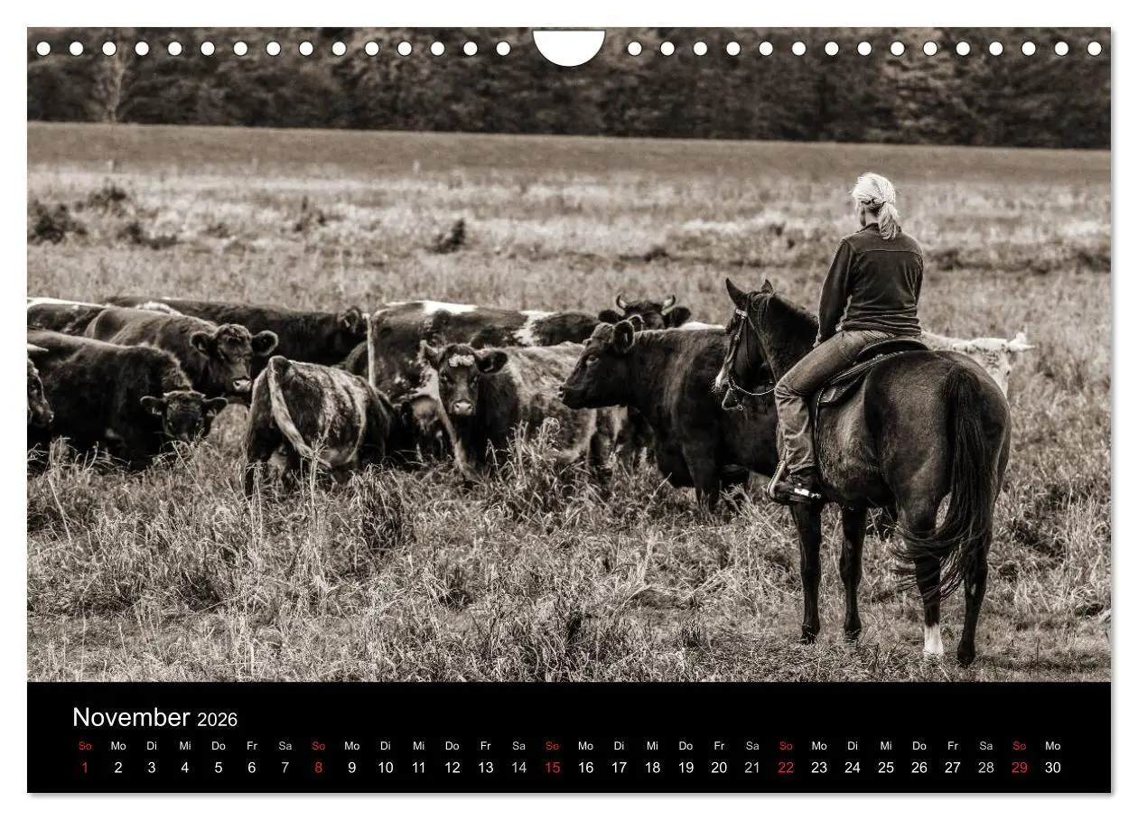 Bild: 9783516028676 | Westernreiten (Wandkalender 2026 DIN A4 quer), CALVENDO Monatskalender