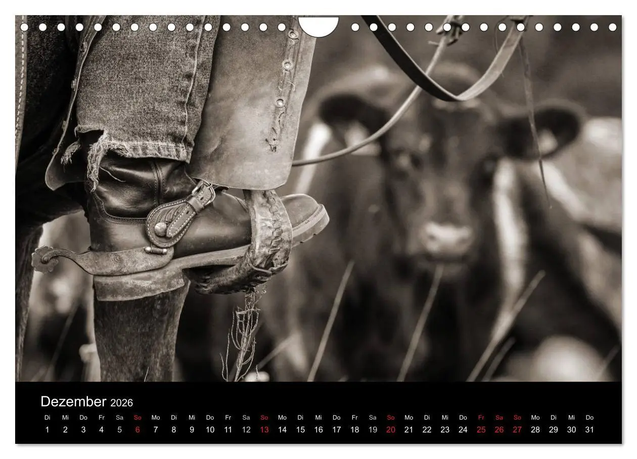 Bild: 9783516028676 | Westernreiten (Wandkalender 2026 DIN A4 quer), CALVENDO Monatskalender