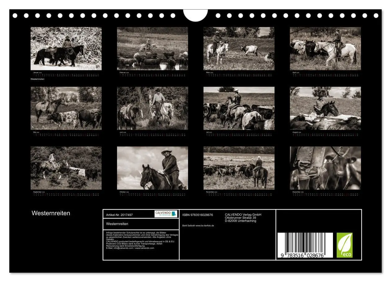 Bild: 9783516028676 | Westernreiten (Wandkalender 2026 DIN A4 quer), CALVENDO Monatskalender