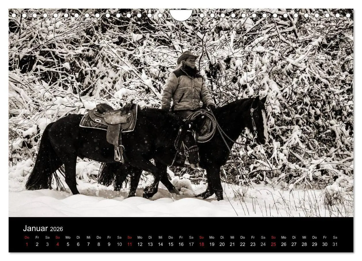 Bild: 9783516028676 | Westernreiten (Wandkalender 2026 DIN A4 quer), CALVENDO Monatskalender