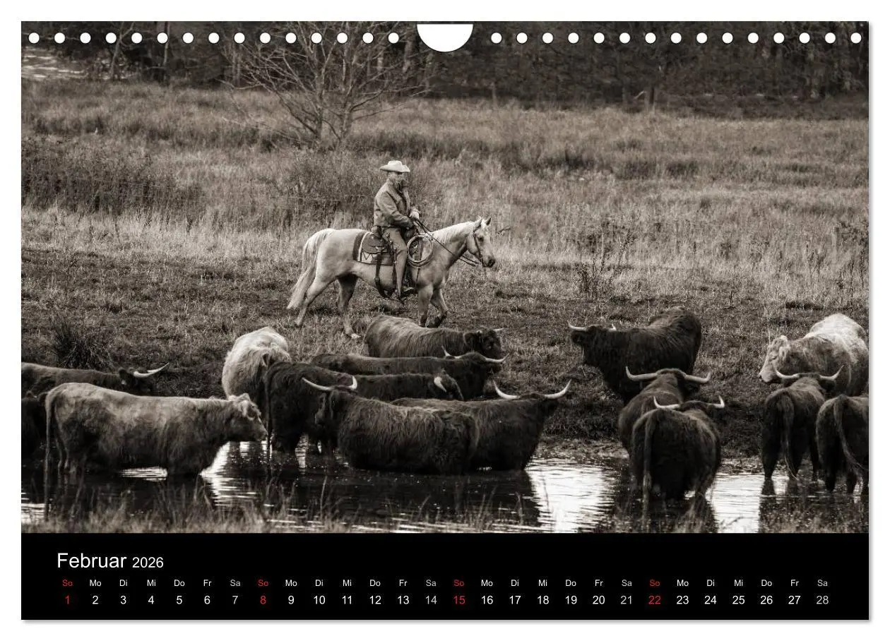 Bild: 9783516028676 | Westernreiten (Wandkalender 2026 DIN A4 quer), CALVENDO Monatskalender