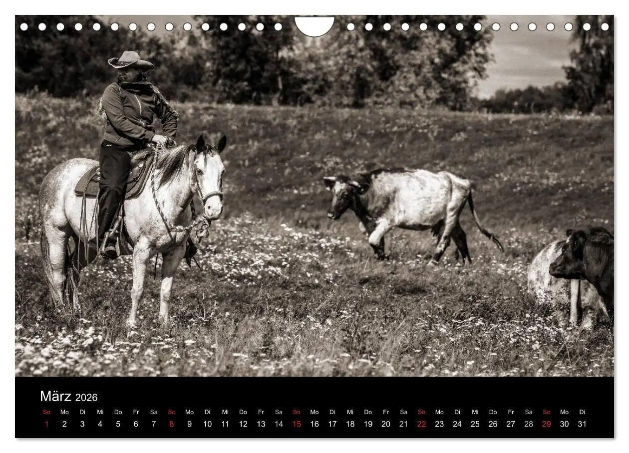 Bild: 9783516028676 | Westernreiten (Wandkalender 2026 DIN A4 quer), CALVENDO Monatskalender