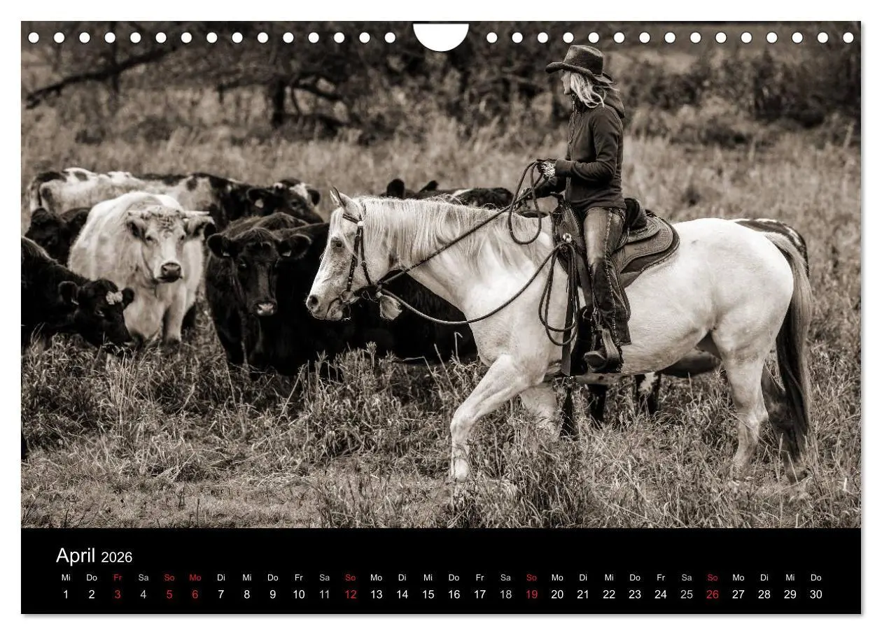 Bild: 9783516028676 | Westernreiten (Wandkalender 2026 DIN A4 quer), CALVENDO Monatskalender