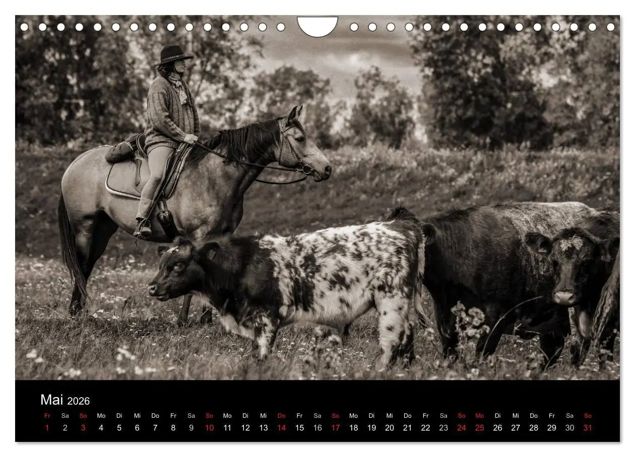 Bild: 9783516028676 | Westernreiten (Wandkalender 2026 DIN A4 quer), CALVENDO Monatskalender