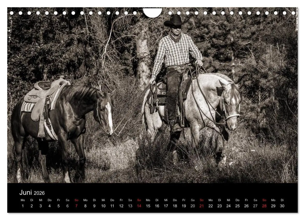 Bild: 9783516028676 | Westernreiten (Wandkalender 2026 DIN A4 quer), CALVENDO Monatskalender