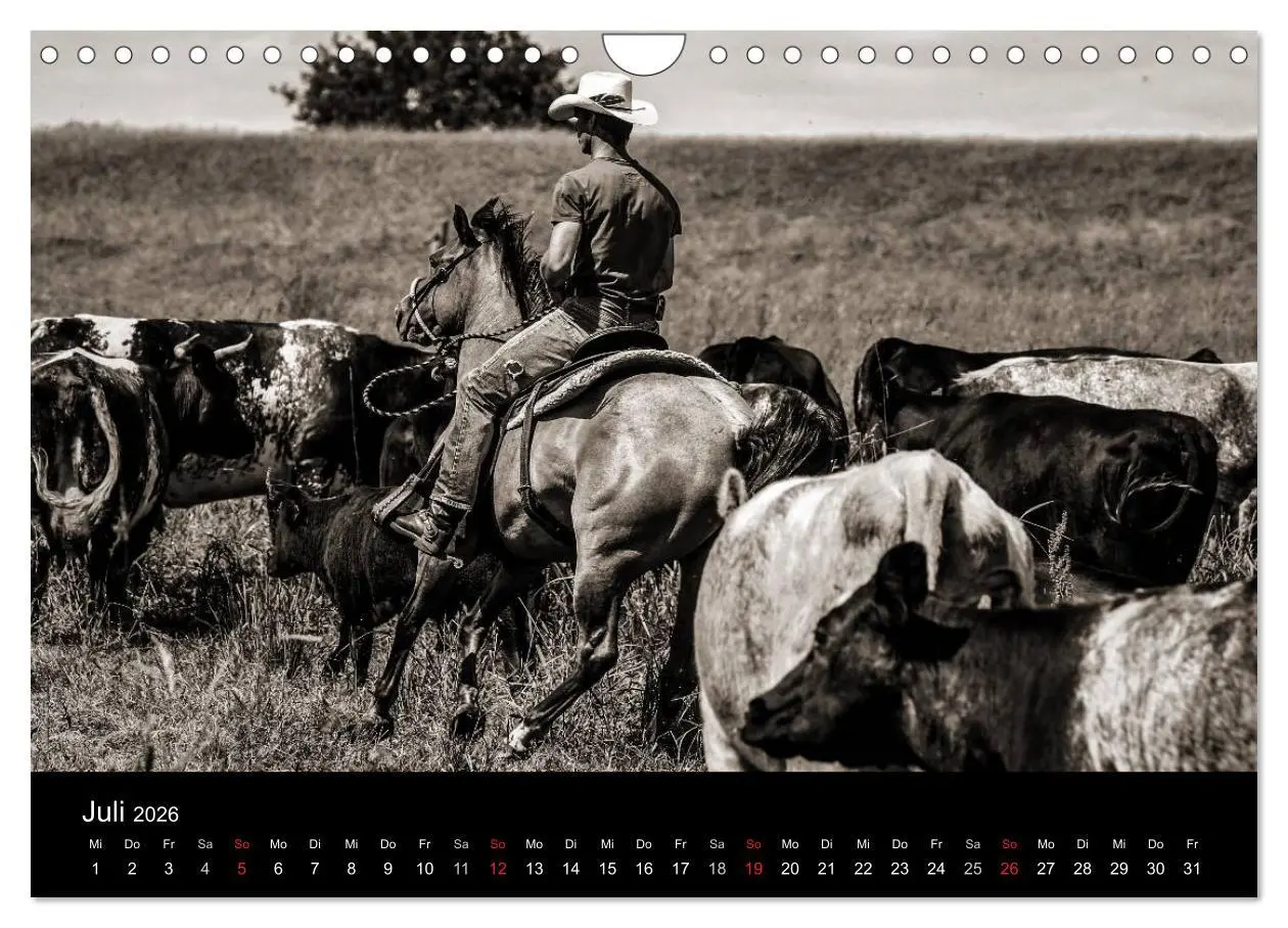 Bild: 9783516028676 | Westernreiten (Wandkalender 2026 DIN A4 quer), CALVENDO Monatskalender