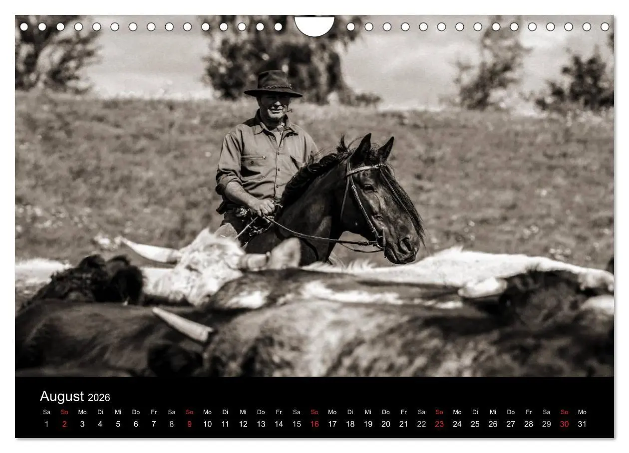 Bild: 9783516028676 | Westernreiten (Wandkalender 2026 DIN A4 quer), CALVENDO Monatskalender