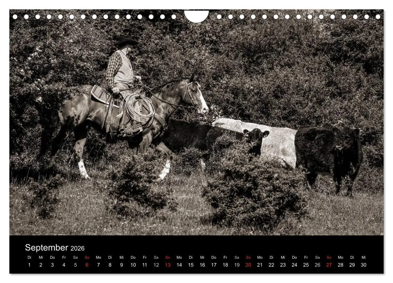 Bild: 9783516028676 | Westernreiten (Wandkalender 2026 DIN A4 quer), CALVENDO Monatskalender