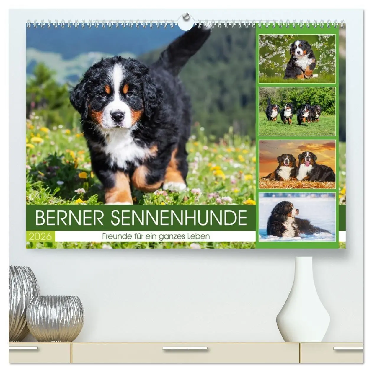 Cover: 9783516718676 | Berner Sennenhunde - Freunde für ein ganzes Leben (hochwertiger...