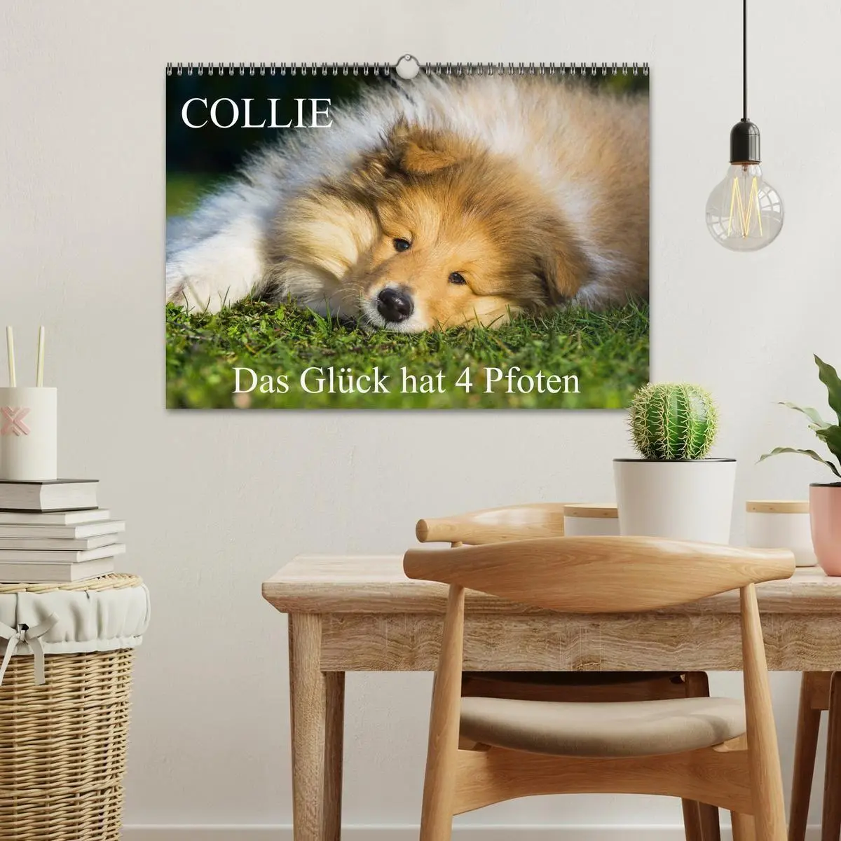 Bild: 9783569738676 | Collie - Das Glück hat 4 Pfoten (Wandkalender 2027 DIN A3 quer),...