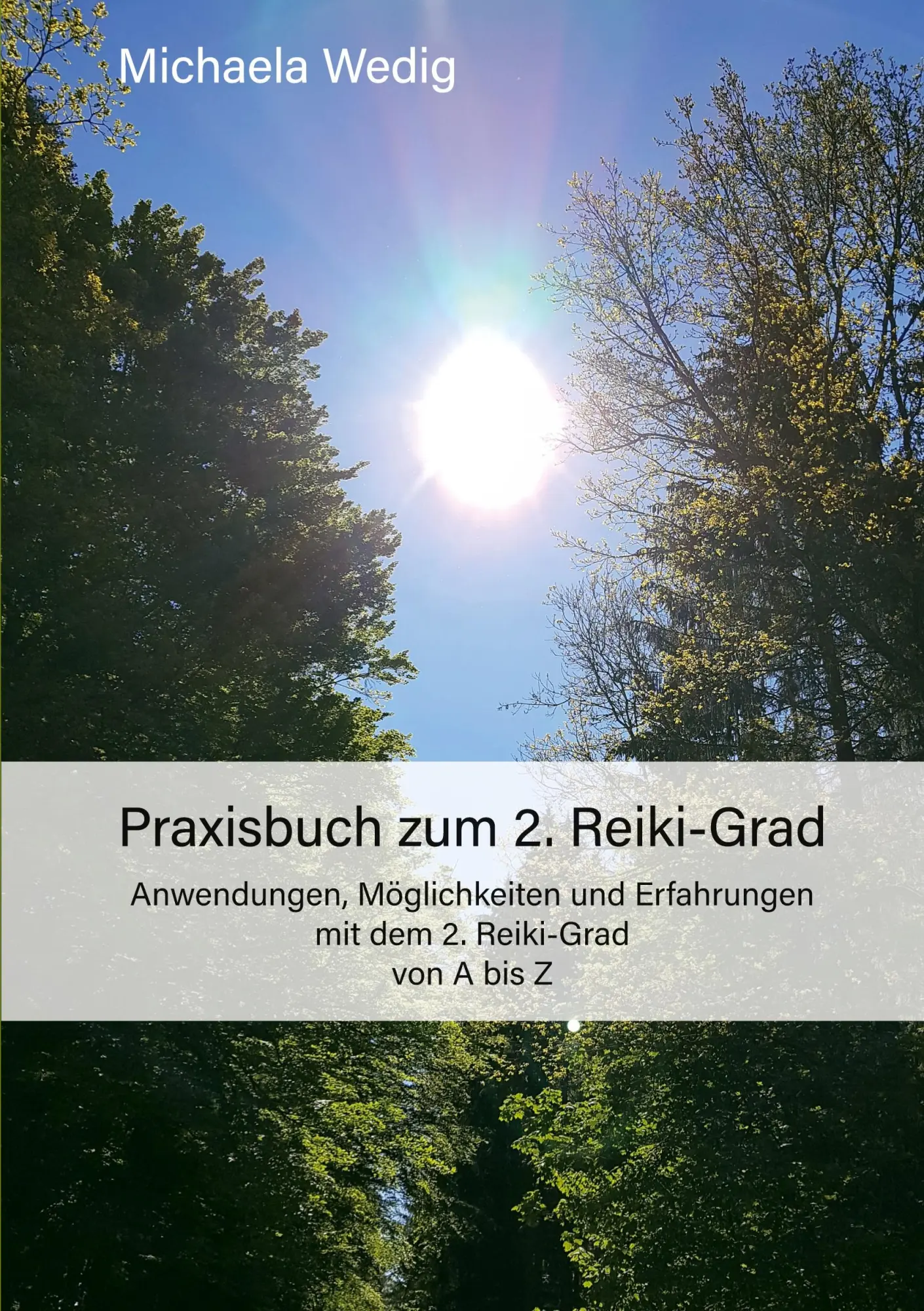 Cover: 9783695158676 | Praxisbuch zum 2. Reiki-Grad | Michaela Wedig | Taschenbuch | 326 S.