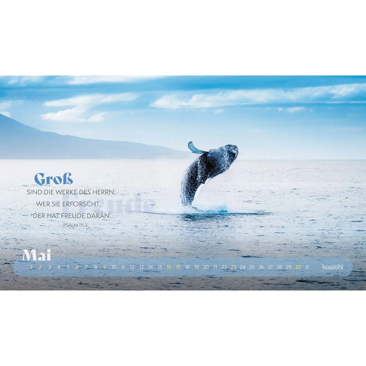 Bild: 9783754868676 | Abenteuer - Mit Gott unterwegs 2027 | Kalender | 14 S. | Deutsch