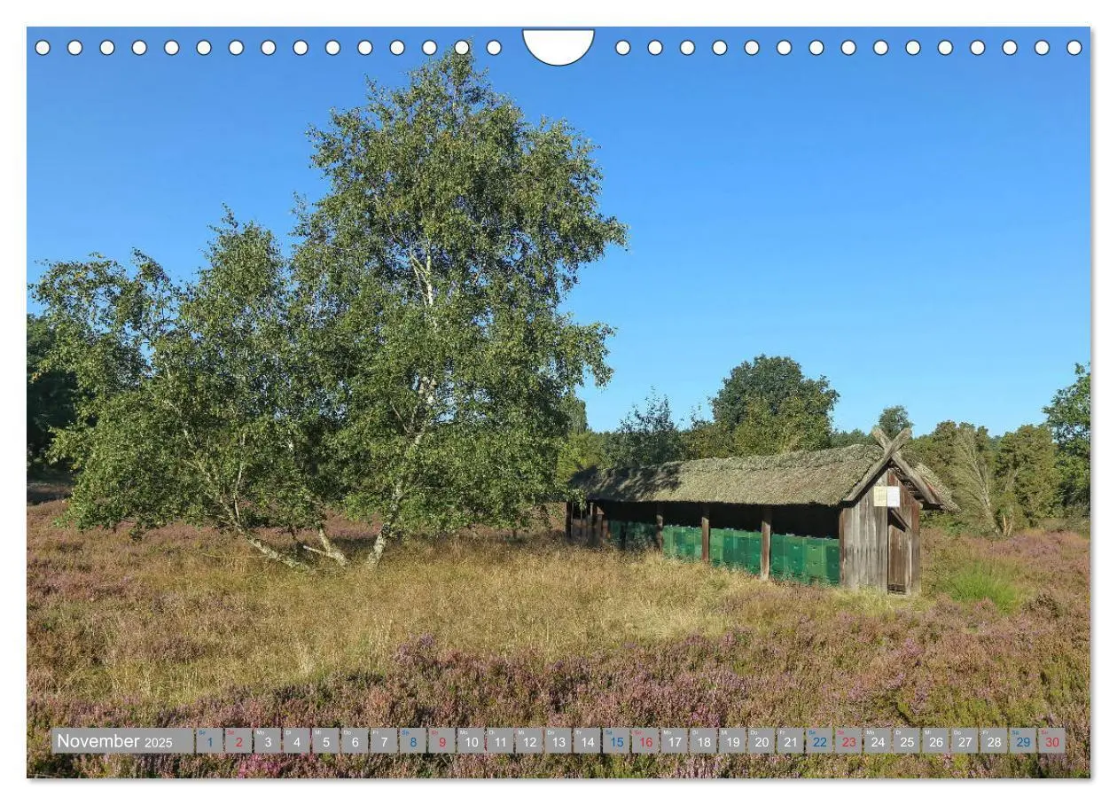 Bild: 9783435458776 | Lüneburger Heide - Faszinierend schön (Wandkalender 2025 DIN A4...