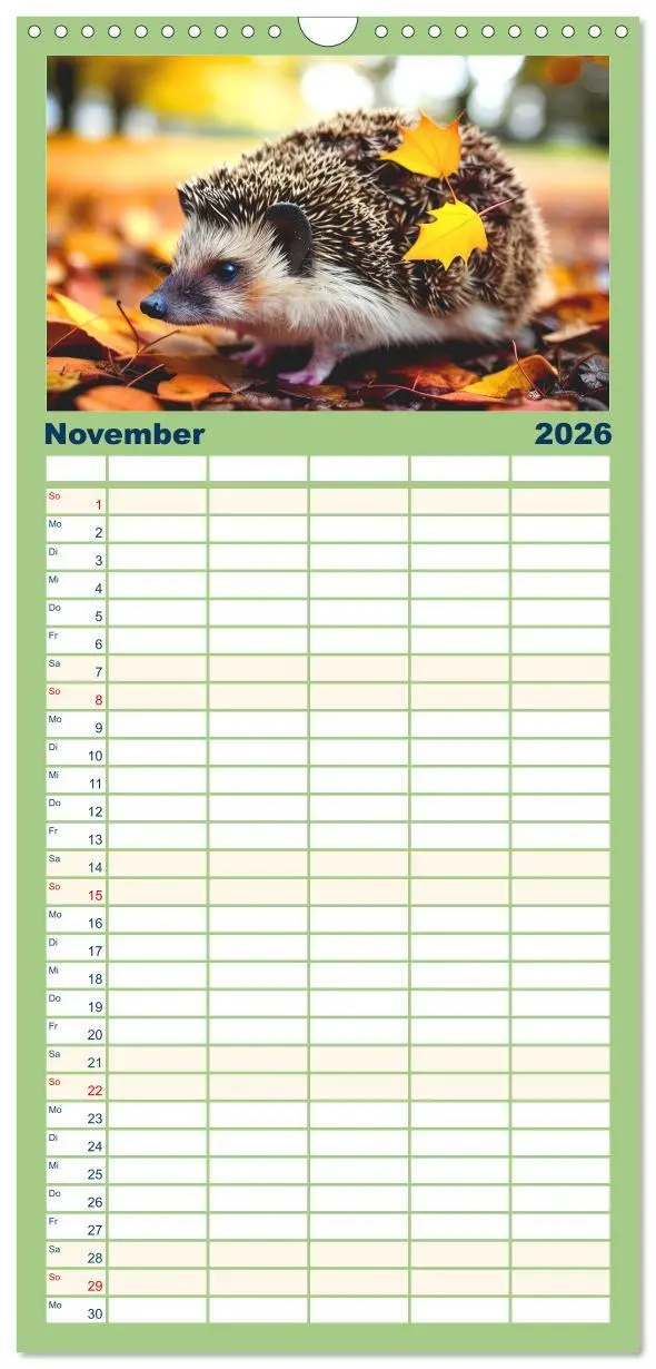 Bild: 9783516498776 | Familienplaner 2026 - Niedliche Igel mit 5 Spalten (Wandkalender,...