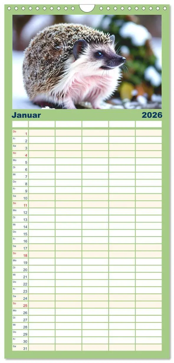 Bild: 9783516498776 | Familienplaner 2026 - Niedliche Igel mit 5 Spalten (Wandkalender,...