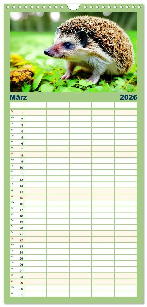 Bild: 9783516498776 | Familienplaner 2026 - Niedliche Igel mit 5 Spalten (Wandkalender,...